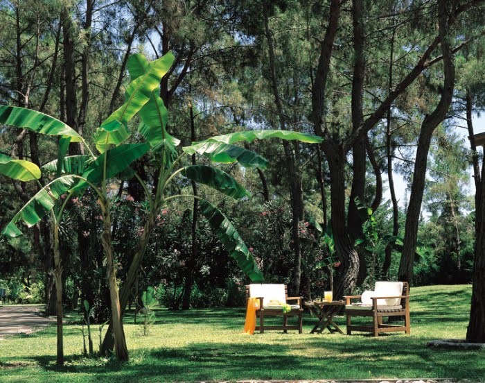 imagini hotel MARTI MYRA KEMER